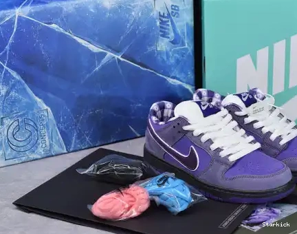 Concepts Purple SB Nike Low Lobster Dunk BV1310-555 0707